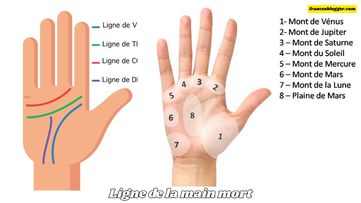 ligne de la main mort