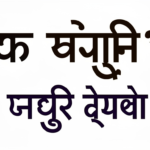 co wife meaning in hindi